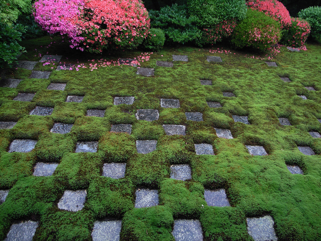 Symmetric small garden