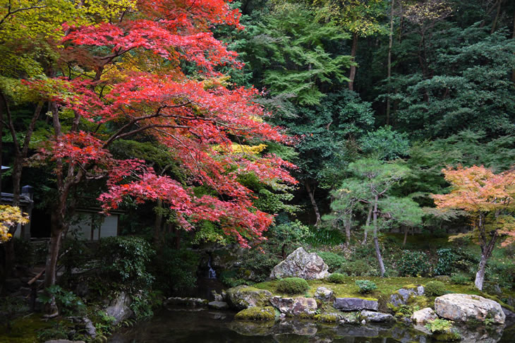 Hill-and-pond garden