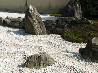 dry scape garden