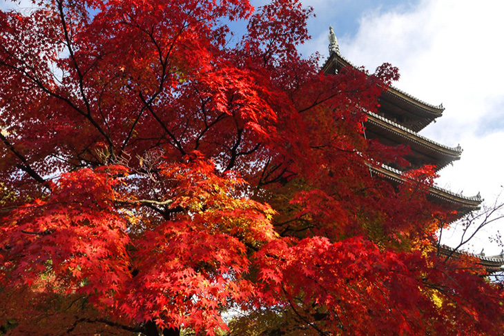 Ninnaji in Autumn